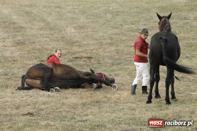 Zdjęcie w galerii na portalu naszraciborz.pl: Piękne amazonki na koniach, czyli Hubertus 2015 na polach na Ostrogu wiadomości z regionu