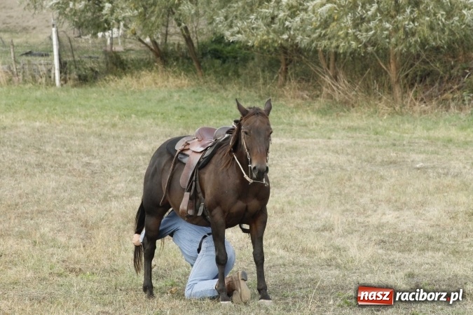 Zdjęcie w galerii na portalu naszraciborz.pl: Piękne amazonki na koniach, czyli Hubertus 2015 na polach na Ostrogu wiadomości z regionu
