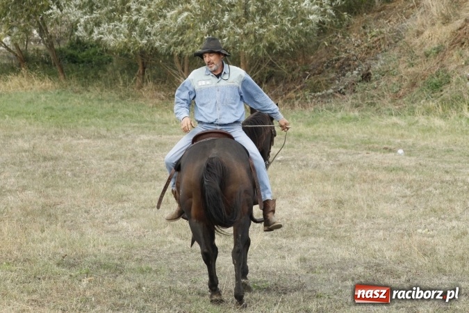 Zdjęcie w galerii na portalu naszraciborz.pl: Piękne amazonki na koniach, czyli Hubertus 2015 na polach na Ostrogu wiadomości z regionu
