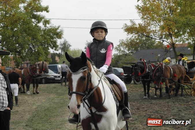 Zdjęcie w galerii na portalu naszraciborz.pl: Piękne amazonki na koniach, czyli Hubertus 2015 na polach na Ostrogu wiadomości z regionu