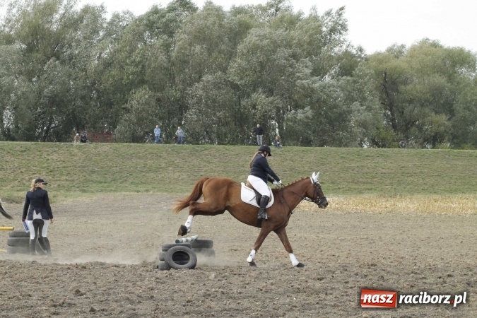 Zdjęcie w galerii na portalu naszraciborz.pl: Piękne amazonki na koniach, czyli Hubertus 2015 na polach na Ostrogu wiadomości z regionu