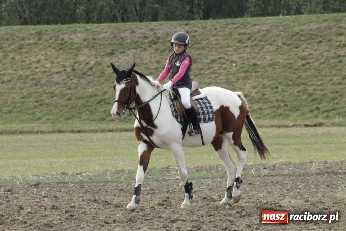 Zdjęcie w galerii na portalu naszraciborz.pl: Piękne amazonki na koniach, czyli Hubertus 2015 na polach na Ostrogu wiadomości z regionu