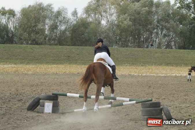 Zdjęcie w galerii na portalu naszraciborz.pl: Piękne amazonki na koniach, czyli Hubertus 2015 na polach na Ostrogu wiadomości z regionu