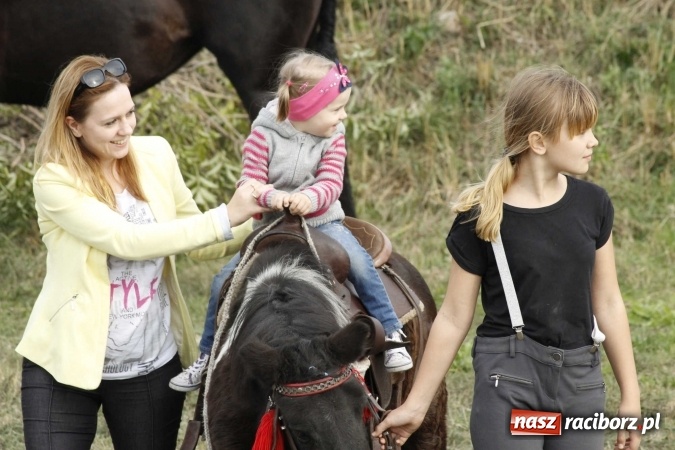 Zdjęcie w galerii na portalu naszraciborz.pl: Piękne amazonki na koniach, czyli Hubertus 2015 na polach na Ostrogu wiadomości z regionu