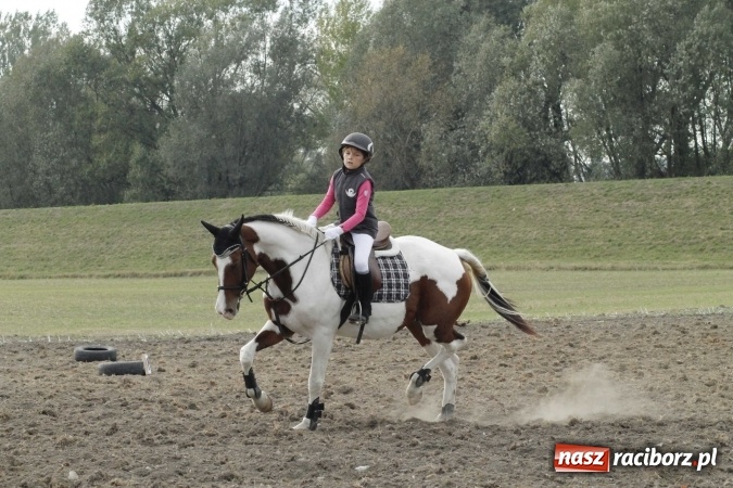 Zdjęcie w galerii na portalu naszraciborz.pl: Piękne amazonki na koniach, czyli Hubertus 2015 na polach na Ostrogu wiadomości z regionu