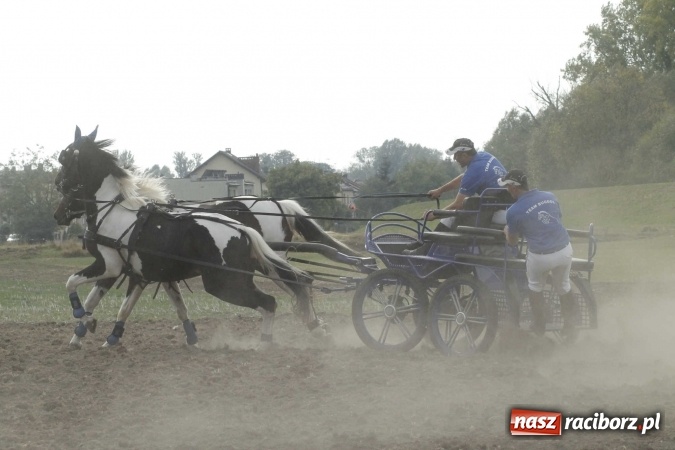 Zdjęcie w galerii na portalu naszraciborz.pl: Piękne amazonki na koniach, czyli Hubertus 2015 na polach na Ostrogu wiadomości z regionu