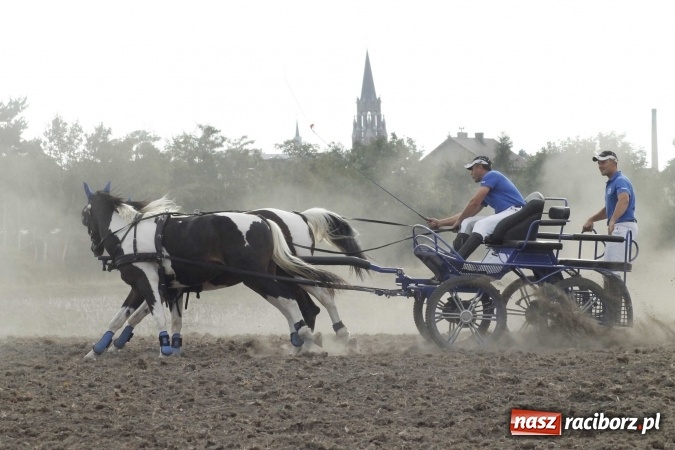 Zdjęcie w galerii na portalu naszraciborz.pl: Piękne amazonki na koniach, czyli Hubertus 2015 na polach na Ostrogu wiadomości z regionu