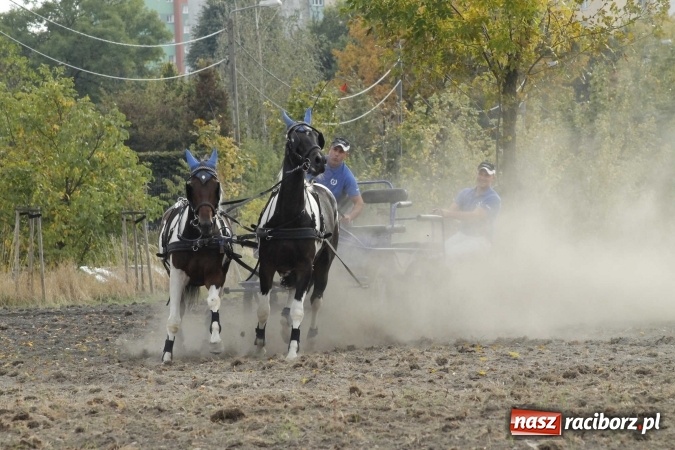 Zdjęcie w galerii na portalu naszraciborz.pl: Piękne amazonki na koniach, czyli Hubertus 2015 na polach na Ostrogu wiadomości z regionu