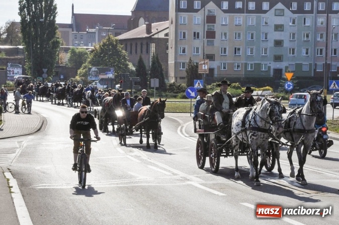 Zdjęcie w galerii na portalu naszraciborz.pl: Piękne amazonki na koniach, czyli Hubertus 2015 na polach na Ostrogu wiadomości z regionu