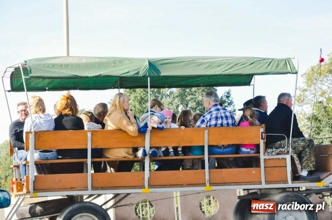 Zdjęcie w galerii na portalu naszraciborz.pl: Piękne amazonki na koniach, czyli Hubertus 2015 na polach na Ostrogu wiadomości z regionu