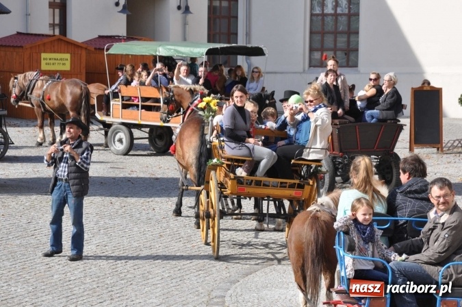 Zdjęcie w galerii na portalu naszraciborz.pl: Piękne amazonki na koniach, czyli Hubertus 2015 na polach na Ostrogu wiadomości z regionu