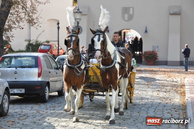 Zdjęcie w galerii na portalu naszraciborz.pl: Piękne amazonki na koniach, czyli Hubertus 2015 na polach na Ostrogu wiadomości z regionu