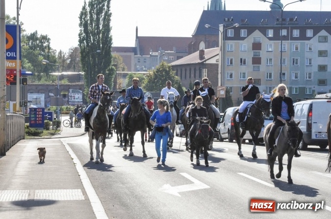Zdjęcie w galerii na portalu naszraciborz.pl: Piękne amazonki na koniach, czyli Hubertus 2015 na polach na Ostrogu wiadomości z regionu