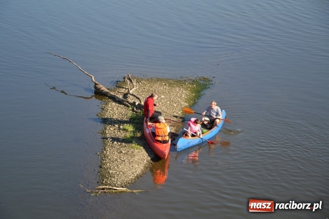 Zdjęcie w galerii na portalu naszraciborz.pl: Kajaki i pontony do hangarów, czyli finał wodniackiego sezonu na górnej Odrze wiadomości z regionu
