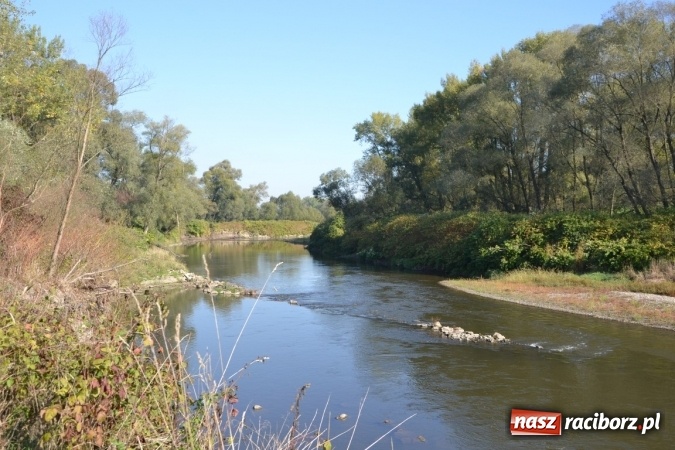 Zdjęcie w galerii na portalu naszraciborz.pl: Kajaki i pontony do hangarów, czyli finał wodniackiego sezonu na górnej Odrze wiadomości z regionu