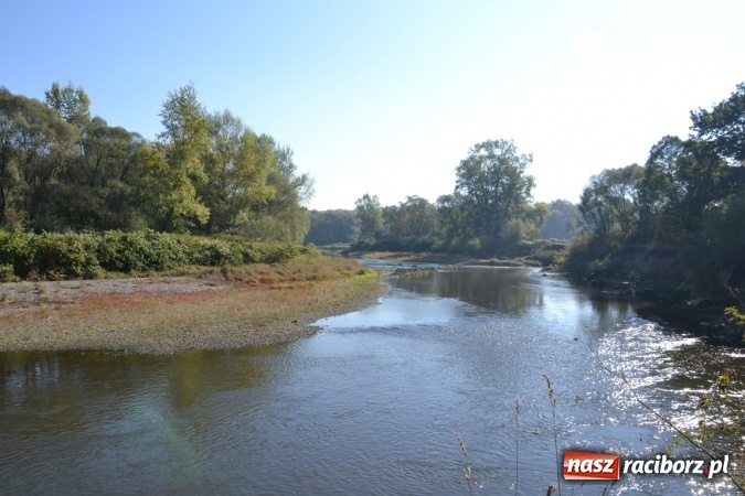 Zdjęcie w galerii na portalu naszraciborz.pl: Kajaki i pontony do hangarów, czyli finał wodniackiego sezonu na górnej Odrze wiadomości z regionu