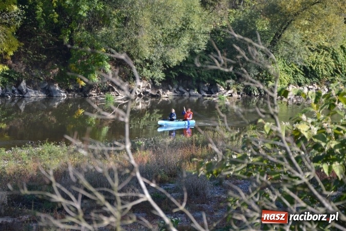 Zdjęcie w galerii na portalu naszraciborz.pl: Kajaki i pontony do hangarów, czyli finał wodniackiego sezonu na górnej Odrze wiadomości z regionu