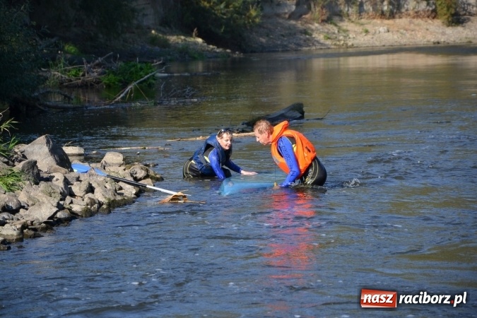 Zdjęcie w galerii na portalu naszraciborz.pl: Kajaki i pontony do hangarów, czyli finał wodniackiego sezonu na górnej Odrze wiadomości z regionu