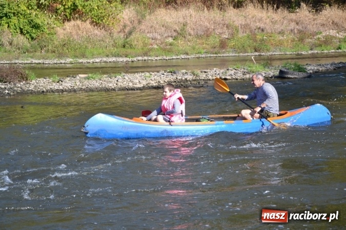 Zdjęcie w galerii na portalu naszraciborz.pl: Kajaki i pontony do hangarów, czyli finał wodniackiego sezonu na górnej Odrze wiadomości z regionu