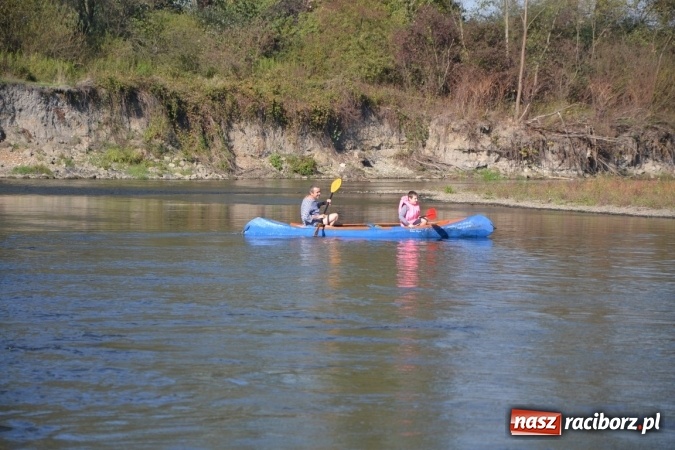 Zdjęcie w galerii na portalu naszraciborz.pl: Kajaki i pontony do hangarów, czyli finał wodniackiego sezonu na górnej Odrze wiadomości z regionu
