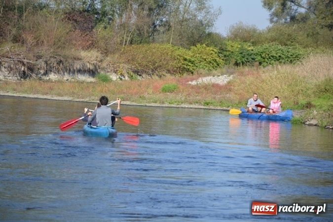 Zdjęcie w galerii na portalu naszraciborz.pl: Kajaki i pontony do hangarów, czyli finał wodniackiego sezonu na górnej Odrze wiadomości z regionu