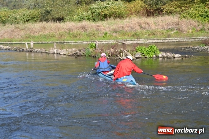 Zdjęcie w galerii na portalu naszraciborz.pl: Kajaki i pontony do hangarów, czyli finał wodniackiego sezonu na górnej Odrze wiadomości z regionu