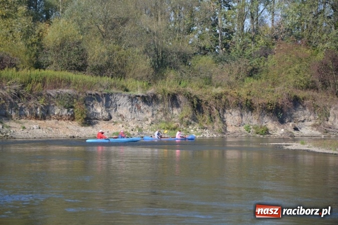 Zdjęcie w galerii na portalu naszraciborz.pl: Kajaki i pontony do hangarów, czyli finał wodniackiego sezonu na górnej Odrze wiadomości z regionu