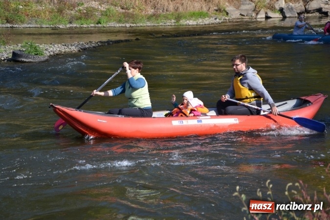 Zdjęcie w galerii na portalu naszraciborz.pl: Kajaki i pontony do hangarów, czyli finał wodniackiego sezonu na górnej Odrze wiadomości z regionu