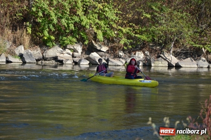 Zdjęcie w galerii na portalu naszraciborz.pl: Kajaki i pontony do hangarów, czyli finał wodniackiego sezonu na górnej Odrze wiadomości z regionu