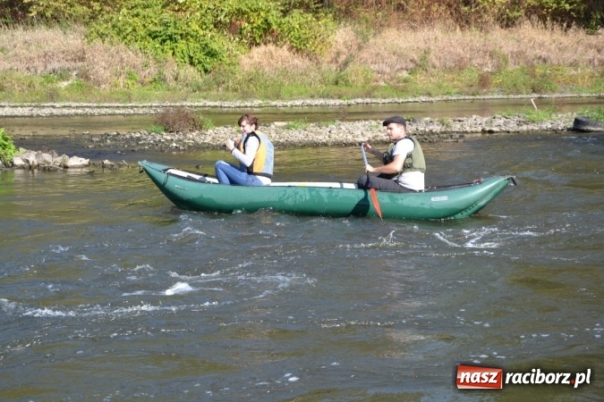 Zdjęcie w galerii na portalu naszraciborz.pl: Kajaki i pontony do hangarów, czyli finał wodniackiego sezonu na górnej Odrze wiadomości z regionu
