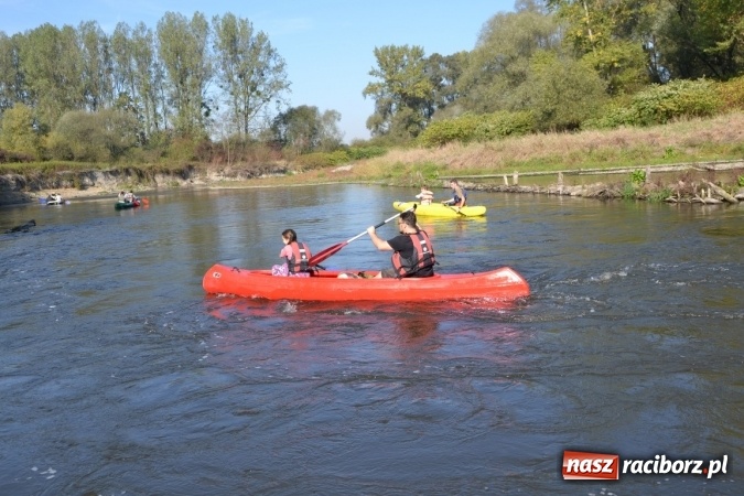Zdjęcie w galerii na portalu naszraciborz.pl: Kajaki i pontony do hangarów, czyli finał wodniackiego sezonu na górnej Odrze wiadomości z regionu