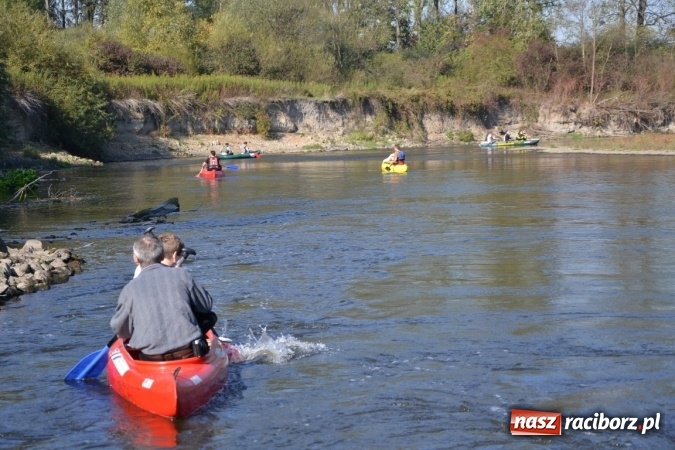 Zdjęcie w galerii na portalu naszraciborz.pl: Kajaki i pontony do hangarów, czyli finał wodniackiego sezonu na górnej Odrze wiadomości z regionu