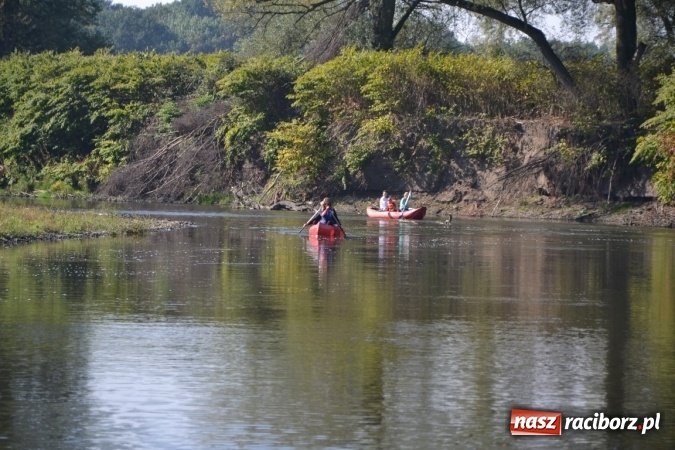 Zdjęcie w galerii na portalu naszraciborz.pl: Kajaki i pontony do hangarów, czyli finał wodniackiego sezonu na górnej Odrze wiadomości z regionu