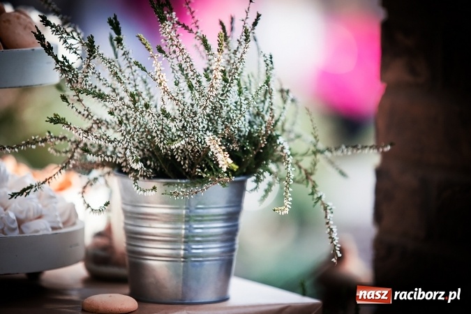 Zdjęcie w galerii na portalu naszraciborz.pl: Co potrafi Racibórz – spotkanie pełne ciepła i dobroci w Villi Antiqua wiadomości z regionu