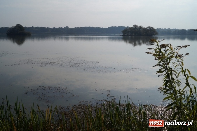 Zdjęcie w galerii na portalu naszraciborz.pl: W Nędzy trwa kosztowny remont jazu na Suminie wiadomości z regionu