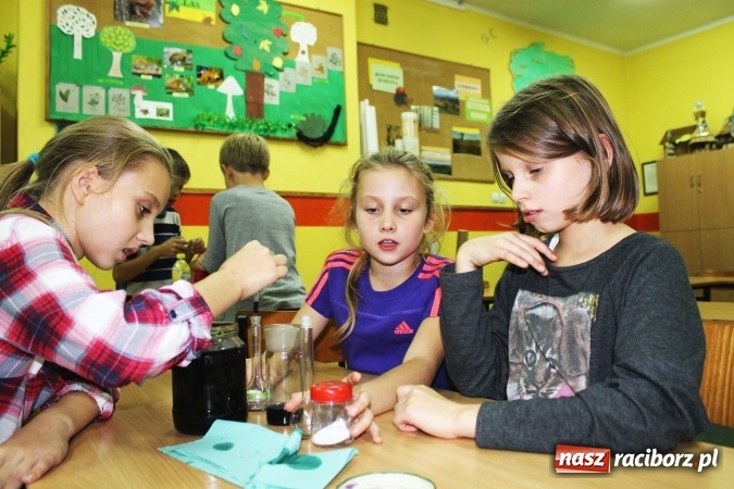 Zdjęcie w galerii na portalu naszraciborz.pl: Nocne marki? Tak, to my! Nocny maraton w Szkole Podstawowej nr 2 wiadomości z regionu