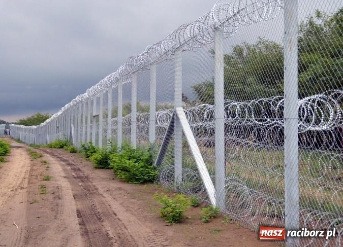 Zdjęcie w galerii na portalu naszraciborz.pl: Anna Ronin na 25-leciu Zjednoczenia Niemiec w Dreźnie. Rozmawiano także o uchodźcach wiadomości z regionu