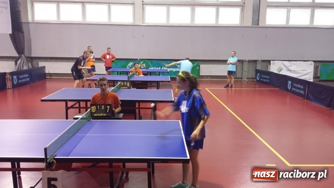 Zdjęcie w galerii na portalu naszraciborz.pl: „Animusz” Racibórz wrócił z medalami! wiadomości z regionu