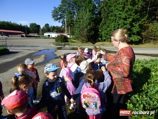 Zdjęcie w galerii na portalu naszraciborz.pl: Przedszkole w Nędzy pamięta o ważnych wydarzeniach!  wiadomości z regionu
