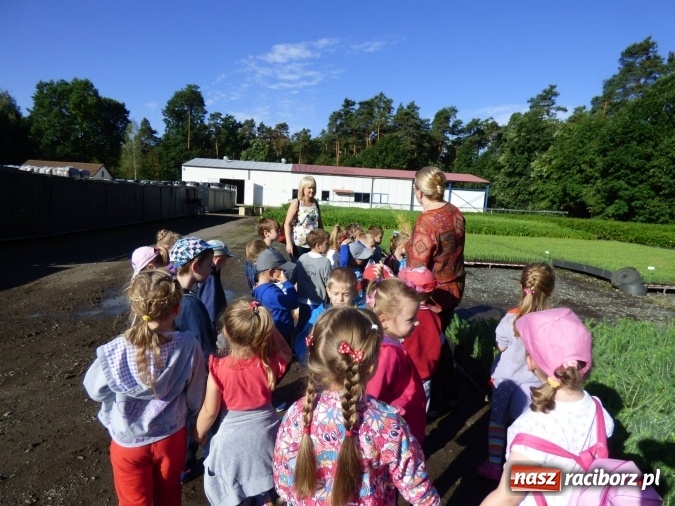 Zdjęcie w galerii na portalu naszraciborz.pl: Przedszkole w Nędzy pamięta o ważnych wydarzeniach!  wiadomości z regionu