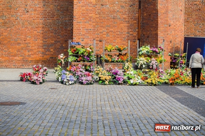 Zdjęcie w galerii na portalu naszraciborz.pl: Kolorowo na placu Dominikańskim w Raciborzu wiadomości z regionu