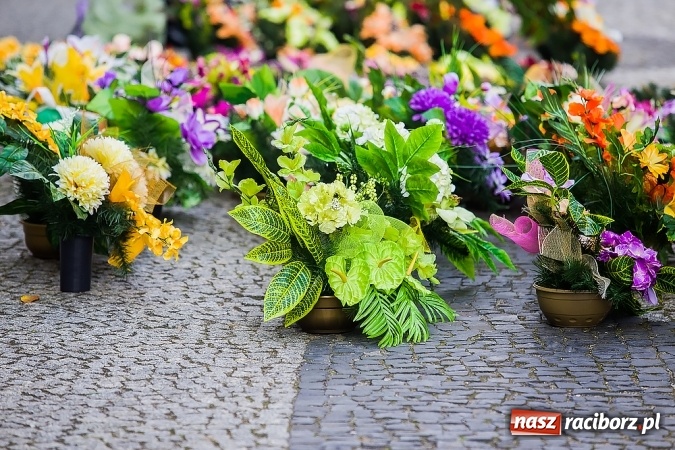 Zdjęcie w galerii na portalu naszraciborz.pl: Kolorowo na placu Dominikańskim w Raciborzu wiadomości z regionu