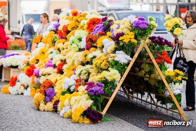 Zdjęcie w galerii na portalu naszraciborz.pl: Kolorowo na placu Dominikańskim w Raciborzu wiadomości z regionu