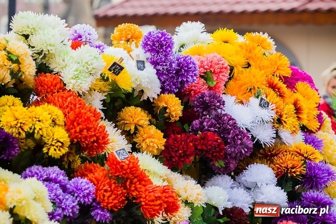 Zdjęcie w galerii na portalu naszraciborz.pl: Kolorowo na placu Dominikańskim w Raciborzu wiadomości z regionu