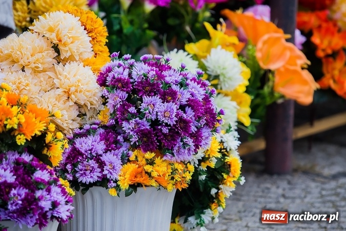 Zdjęcie w galerii na portalu naszraciborz.pl: Kolorowo na placu Dominikańskim w Raciborzu wiadomości z regionu