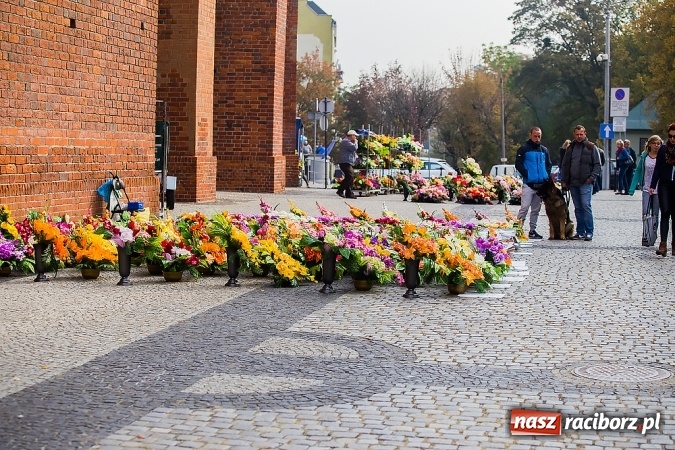 Zdjęcie w galerii na portalu naszraciborz.pl: Kolorowo na placu Dominikańskim w Raciborzu wiadomości z regionu