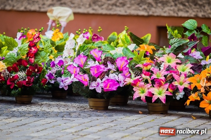 Zdjęcie w galerii na portalu naszraciborz.pl: Kolorowo na placu Dominikańskim w Raciborzu wiadomości z regionu