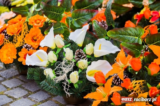 Zdjęcie w galerii na portalu naszraciborz.pl: Kolorowo na placu Dominikańskim w Raciborzu wiadomości z regionu