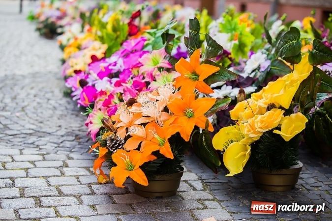 Zdjęcie w galerii na portalu naszraciborz.pl: Kolorowo na placu Dominikańskim w Raciborzu wiadomości z regionu