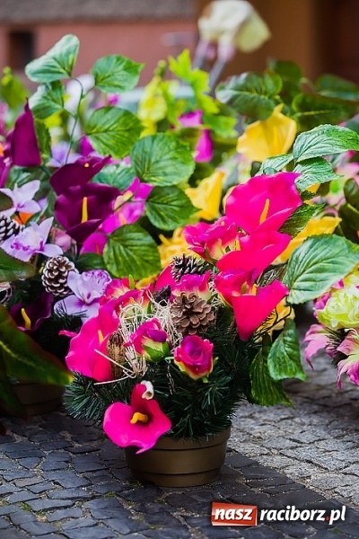 Zdjęcie w galerii na portalu naszraciborz.pl: Kolorowo na placu Dominikańskim w Raciborzu wiadomości z regionu